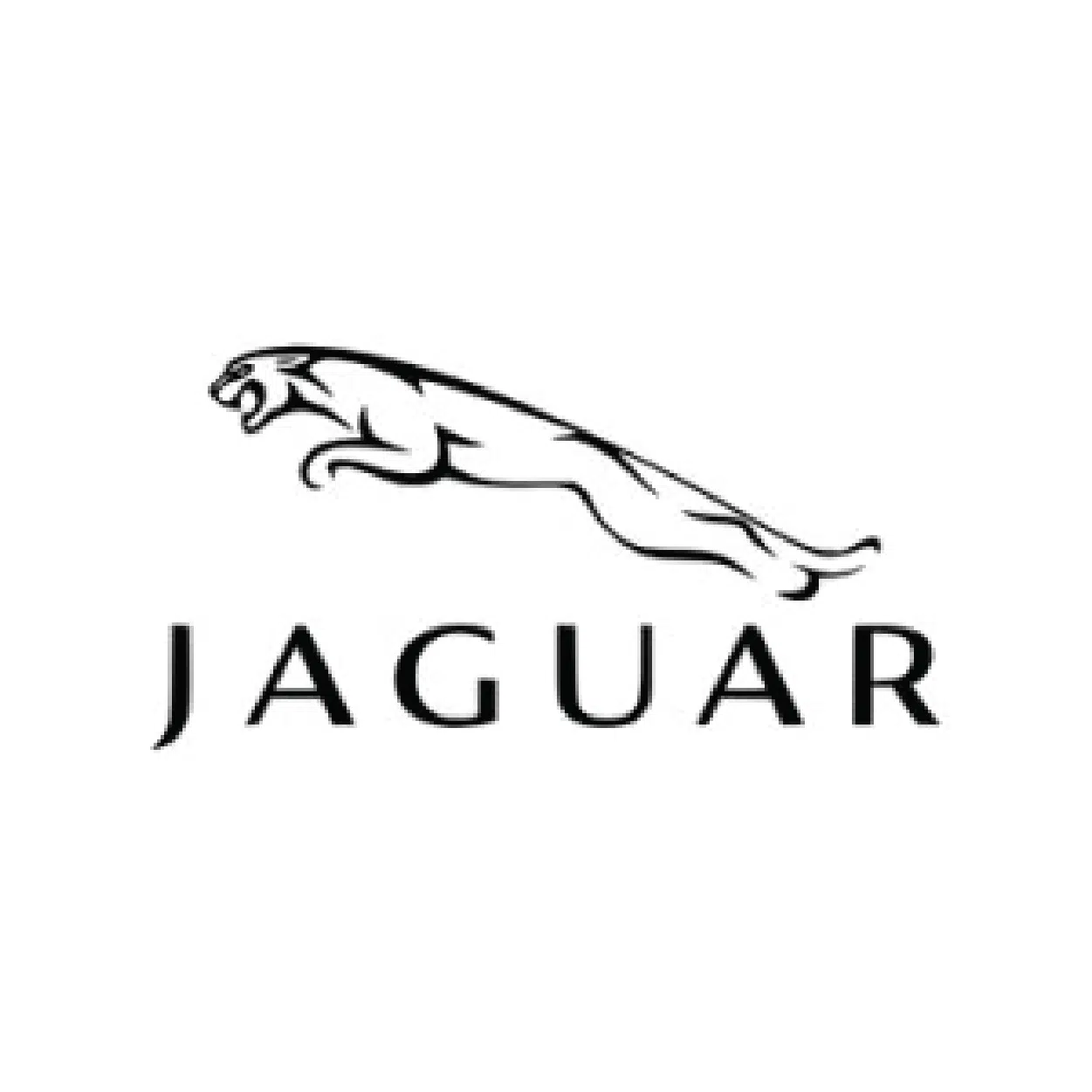 jaguar-wadex-serwiskluczy24-pl